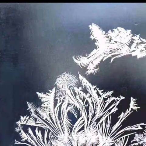 汤旺县第一小学第二届“相约冬季--最美瞬间”教师摄影活动