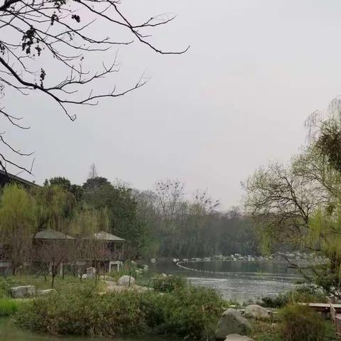 醉在春风里
