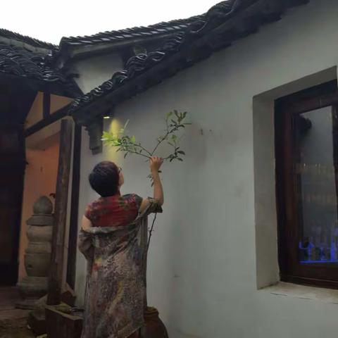 遇见之美