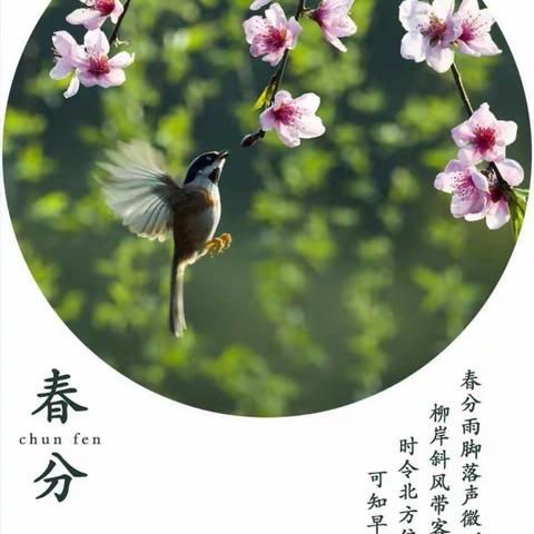 燕子来时，陌上花开——石家庄市四中路小学开展寻找春分里的“美”主题活动