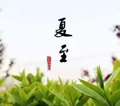 夏至，奋斗正当时