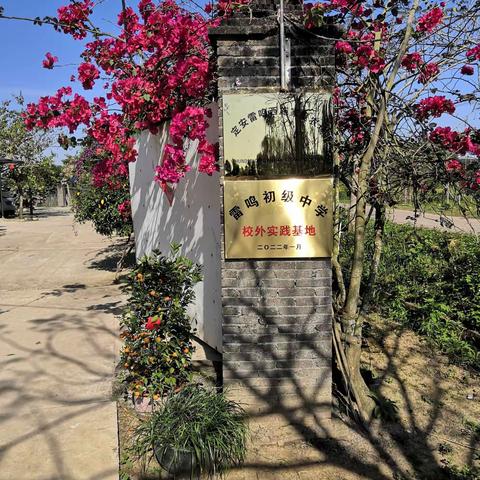 雷鸣镇退役军人创立家庭农场 助力乡村振兴