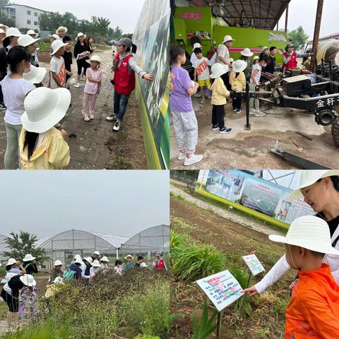 上地街道开展迎“六一”农业科普亲子活动