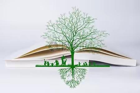 “细心中耕耘 细微处收获”——区十一校一年三班