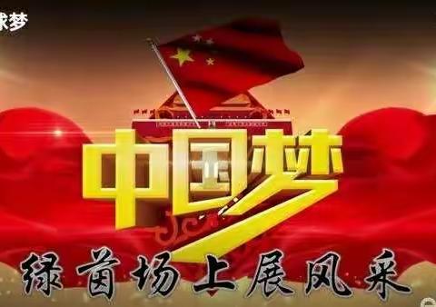 足球梦•中国梦                          ――金沟口中心小学师生观看《足球梦 中国梦》影片活动