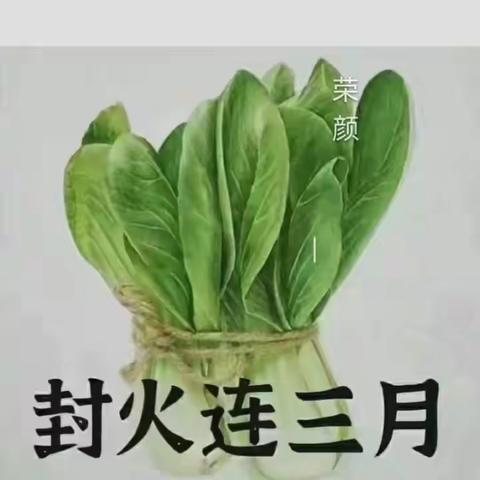 迎对疫情做好防范自力更强