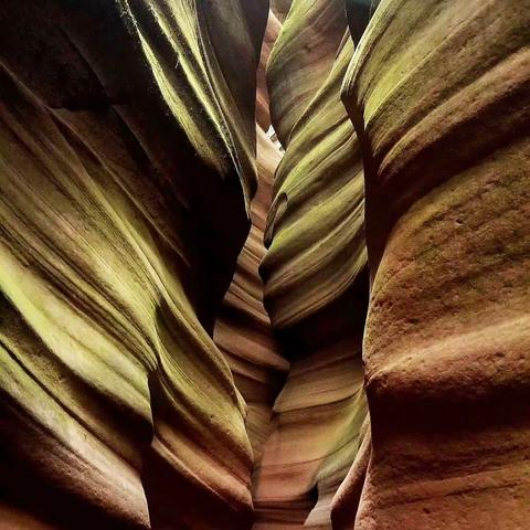 陕西省延安市甘泉县雨岔蝴蝶谷！2019年5月12日