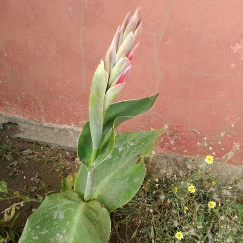 梦想与生命（副本）