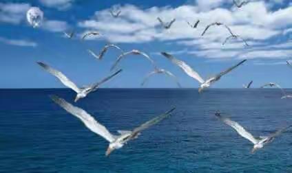 教育宣传 “新”潮澎湃