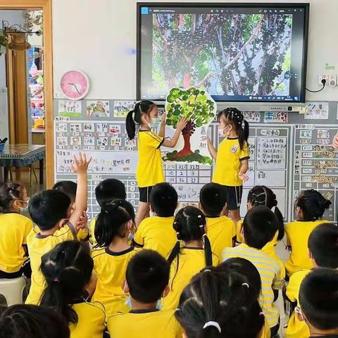 🍃【我与嘉宝果树的故事】 🌴鸿德幼儿园大一班