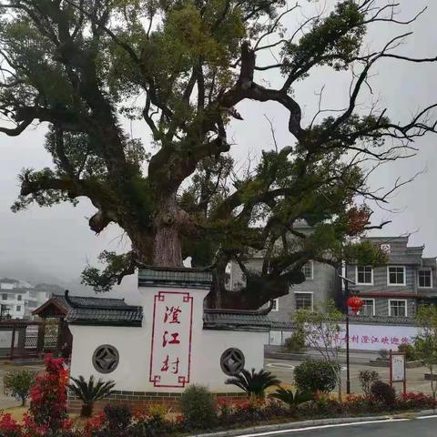 传承古色，建设新村---乡村振兴示范点于都县澄江村的美丽变迁