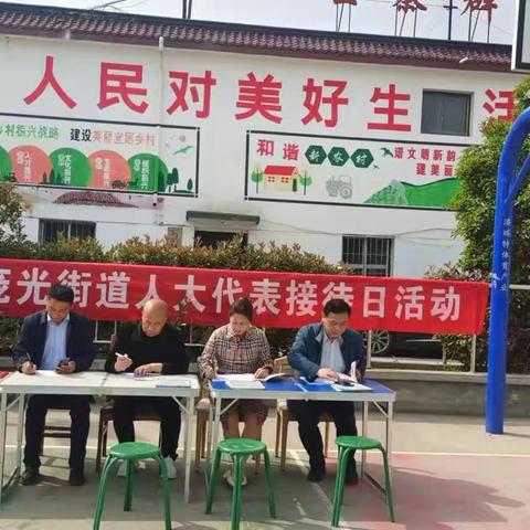 人大代表进村居，倾听民意零距离——庞光街道开展人大代表接待日活动