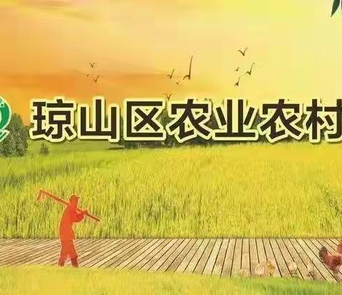 琼山区新民林场2023年防火期工作动态