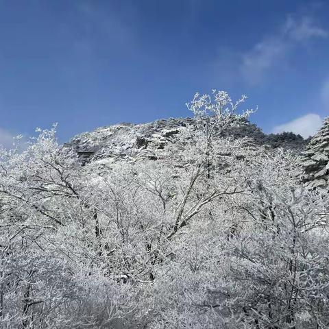 黄山之旅                                                     ——谢叠山小学 三3班  方昊宸