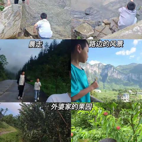蒋凌薇的快乐暑假