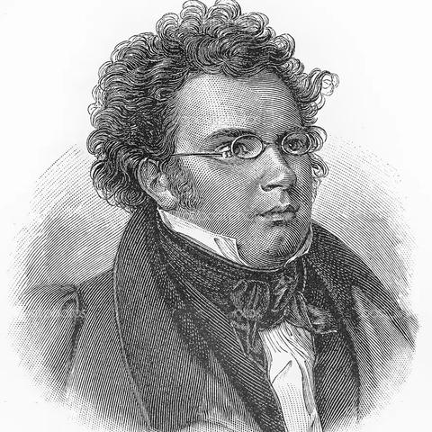 歌曲之王---舒伯特（Franz Schubert）