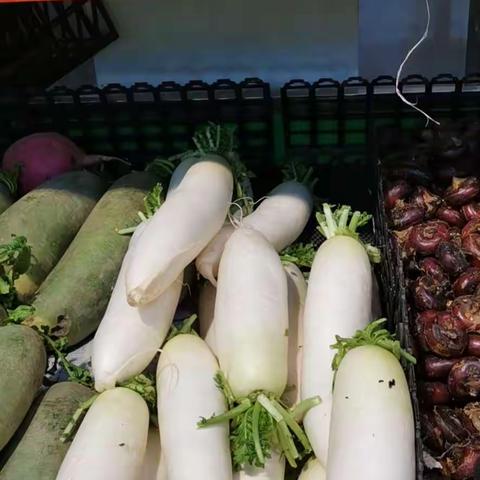 八里庄街道便民商业服务网点助力疫情防控 ——优秀网点系列展示之二 “马神庙一号菜蔬商店”