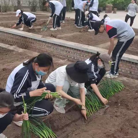 生活实践