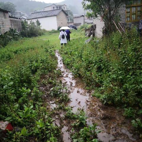 风雨兼程