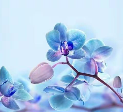 抚顺市初中《人与自我》地方课程推进