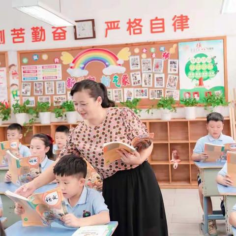 成长路上我们共同进步——中山小学201班班主任工作总结