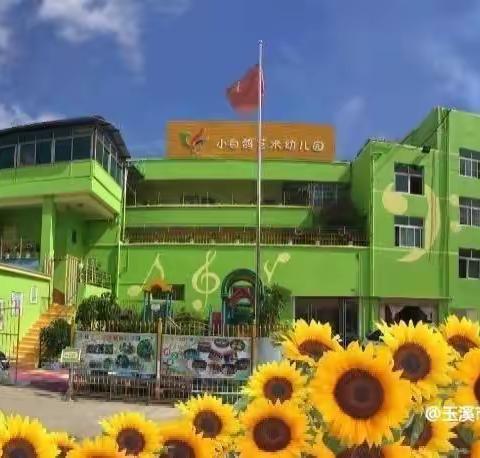 迎验收检查，促园所发展——民办教育发展专项资金项目验收工作暨玉溪市红塔区小伯鸽幼儿园改造项目验收