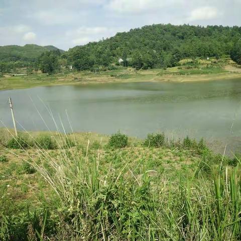 局规划、水资及巴铃、大山水务站等部门到1000人以上集中式供水水源地开展保护工程实施前期勘察