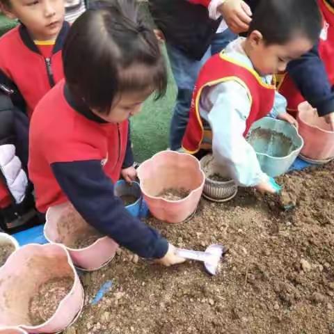 天水市秦州区锦绣苑幼儿园中四班植树节3.12主题活动“春天种下梦想的种子”