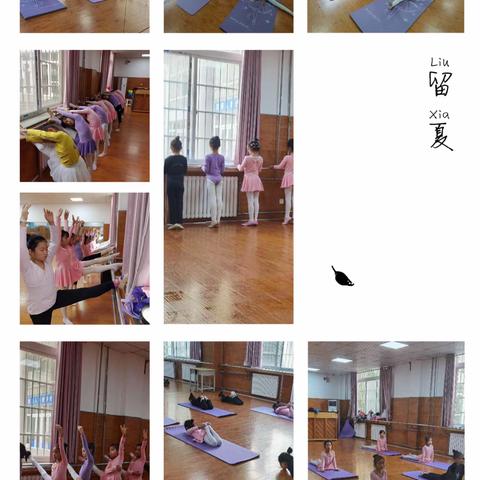 枫儿