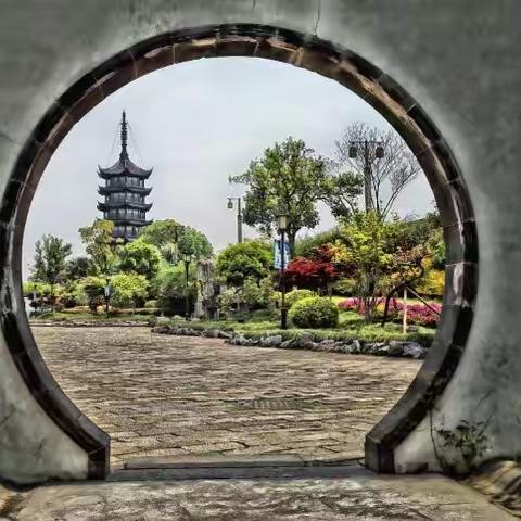我的城：别样的盐官（纯手机版）