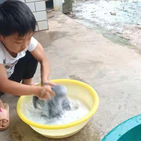 【朱阳二小】红糖甜，白糖甜，不如劳动果实甜。