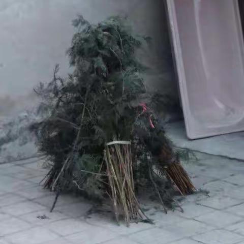 李青莲祝大家新年快乐，万事如意