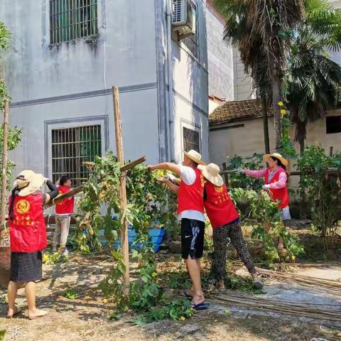 枧畴村全力以赴做好文明城市迎检工作