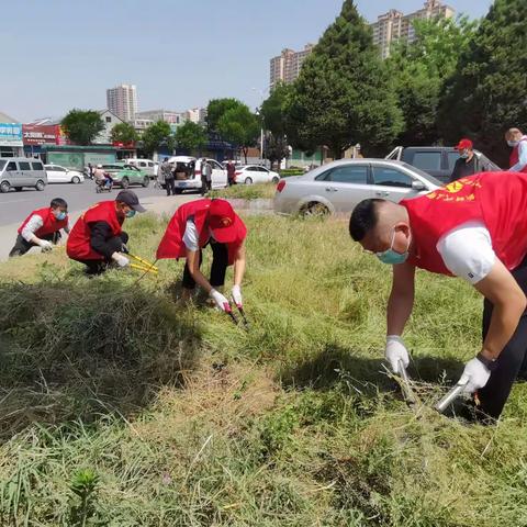 延安南路李家庄村“爱护环境 党员志愿行”环境卫生党员志愿者活动