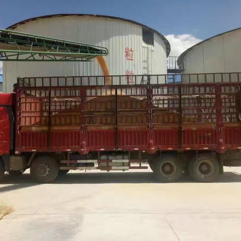 扎兰屯市政策性粮食（玉米）竞价出库情况