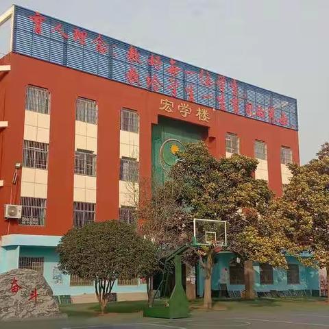 向上少年，学在实小——峄城实验小学一年级8班学生校园生活