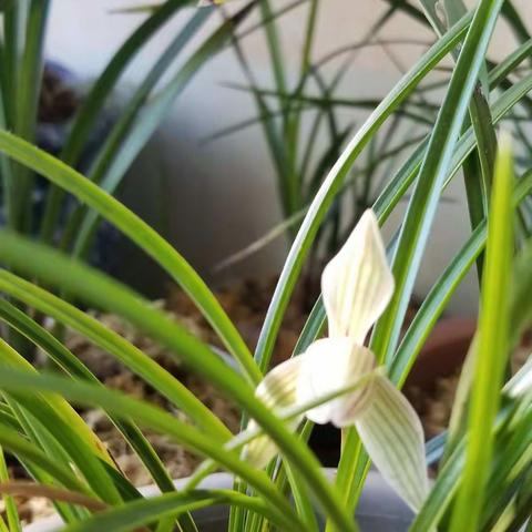 断水刀客的美篇