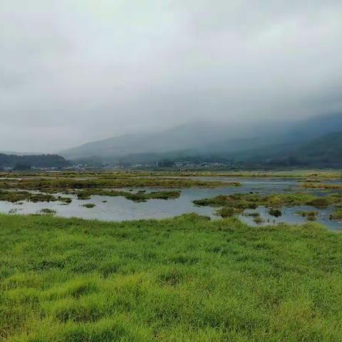 💐美丽的青海湖💐