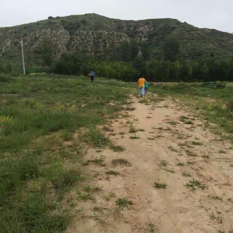 🌾 田间生活绿油油🌾