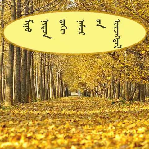 〖谈话主题活动〗通辽市蒙古族幼儿园蒙大二班——亲近大自然、感受秋之美---  谈《我眼中的秋天》