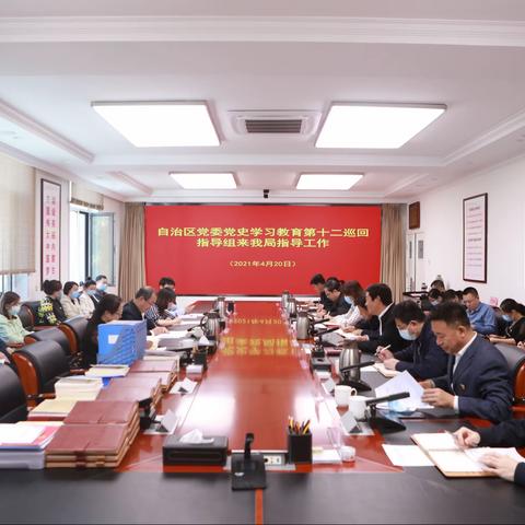 自治区党委党史学习教育第十二巡回指导组对统计局党史学习教育进行指导