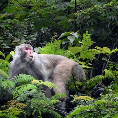 醉美北更  生态乡村