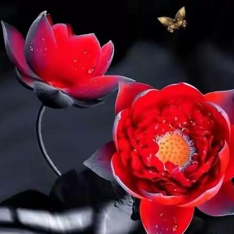 纤尘不染，如梦似幻！