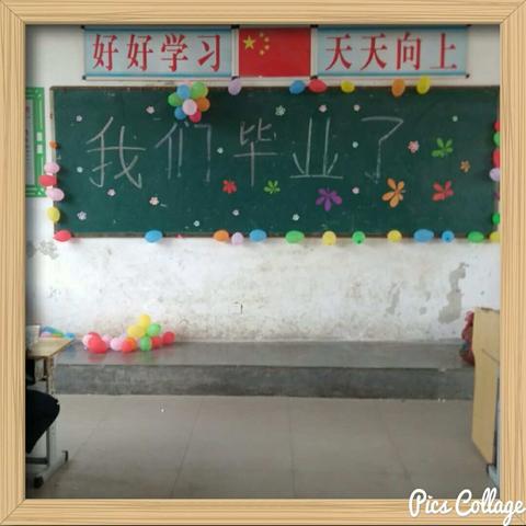 又是一年毕业季