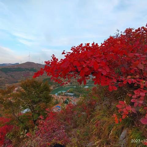 秋晚山居