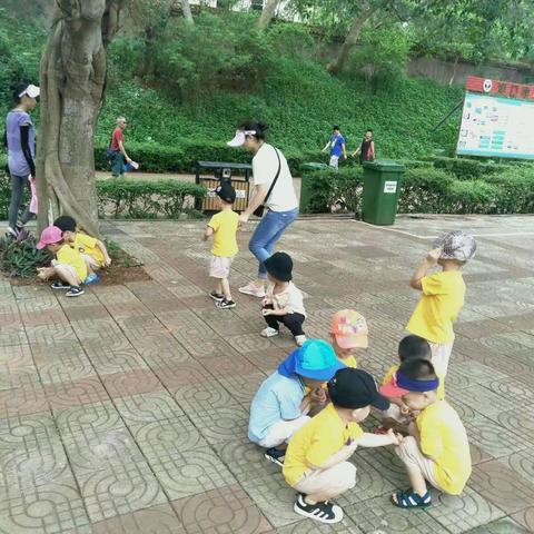 “爱护环境，文明从你我做起”倡议书——郑家镇镇西幼儿园宣