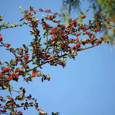 初冬，登高玉皇山