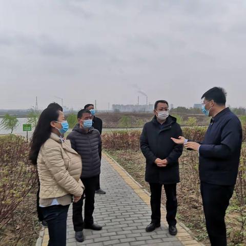 市水务局主要领导调研检查渭河生态保护工作
