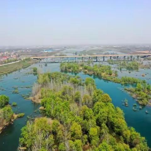 周至全力加快推进全域治水工作黑河水生态治理成果初显