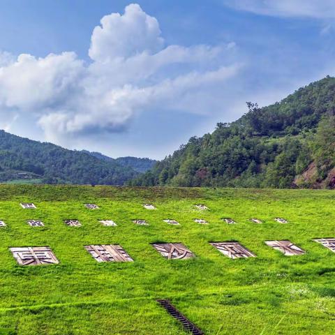 莫名靓丽之排沙河水库